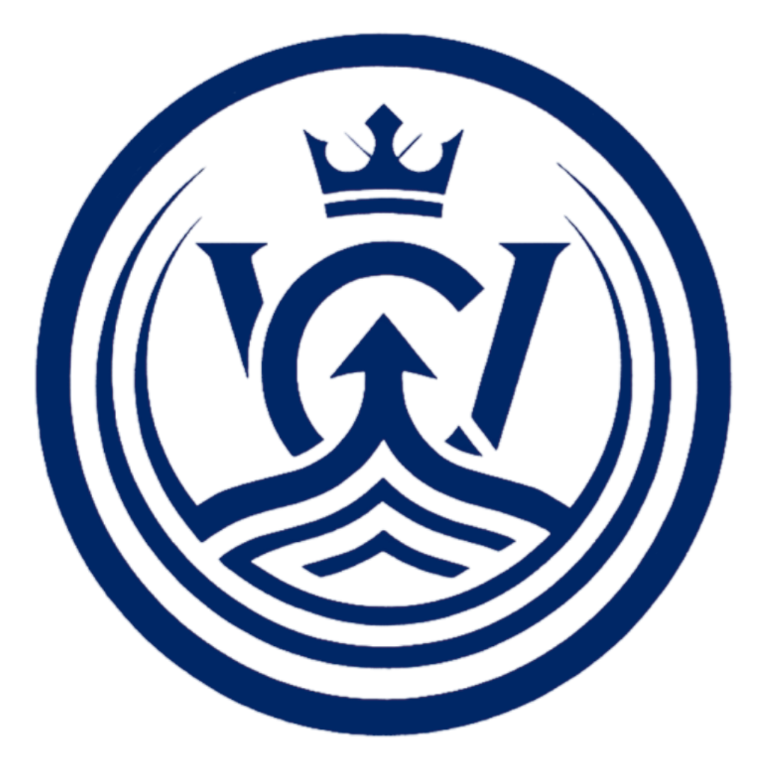 Special Webinar VIP
